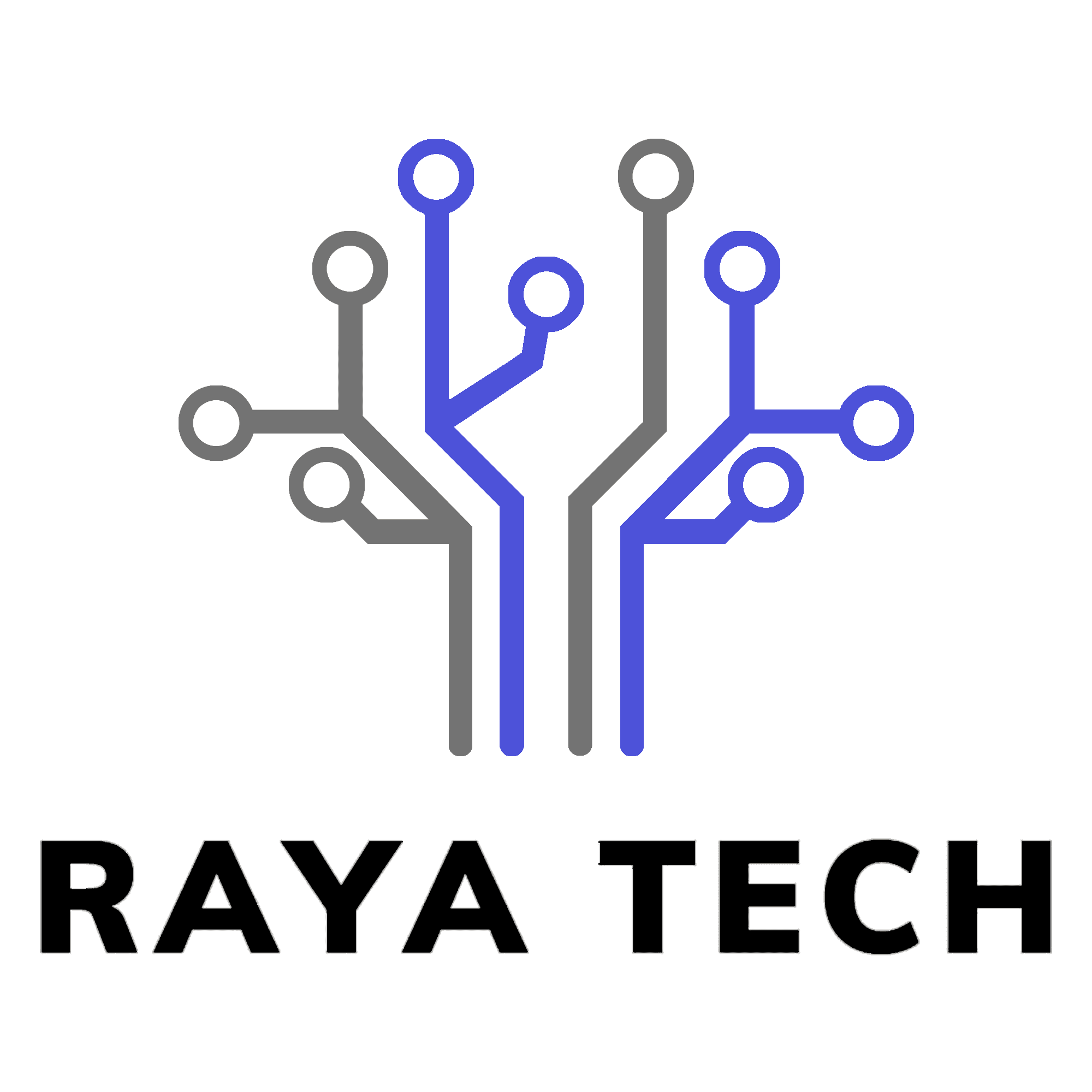 RayaTech